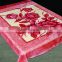 100% polyester wholesale thermal protection container home mink china supplier double layer mink blanket