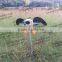 Motorized duck decoy