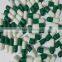 factory price drug empty capsule