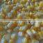 Canned Sweet Corn