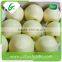 2016 New china bulk fresh crown pear