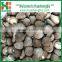 SUPPLY GOOD PRICE FROZEN WHOLE SHIITAKE MUSHROOM DICES