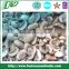 Best Price for IQF/ffrozen champignon mushrooms new season