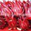 GMP Natural High Quality Water Soluble Hibiscus Extract Powder/Roselle Extract Powder
