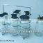6pcs glass spice jar with metal rack