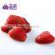 Red IQF Frozen Strawberry Price Supplier