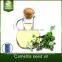 Camellia seed oil physical cold pressed nutrition and health