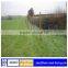 sheep wire mesh fence/Galvanized Hinge joint Cattle Fence/electric galvanized field iron wire cattle mesh fence