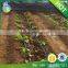 best price drip irrigation pipe for irrigation system