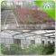Negative-Pressure Fan Flower Greenhouse Air conditioner