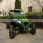 Spider Shaped Beach Buggy UTV With Displacement 400cc