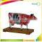 Vivid Education Animal Anatomical Plastic Model Cow
