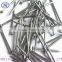 china manufacturer Common wire Nails for construction
