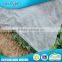 China Online Selling 100% Spunbonded Landscaping Pp Agriculture Nonwoven Fabric
