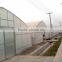 Cheap metal hoop greenhouse