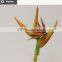 New arriving artificial 2heads Brazil Bird of paradise
