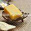 2017 ex-factory coconut shell saucer/little plate for wholesale