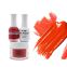 2019 hot sell nail gel polish acrylic color pigment nail dipping powder nail 3 in 1