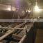 Frozen Green Peas Machine IQF Quick Freezing Machine