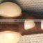 Low price brown durable pet dog chew bone for teeth cleaning