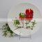 new bone china dinner plate with luxury decalceramic wholesale dinner plates with good quality and cheap price