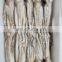 Hot sale BQF frozen squid head for export