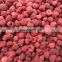 Sinocharm BRC A approved Red IQF Frozen raspberry whole Frozen raspberry