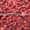 Sinocharm BRC A Certified Fresh Organic Non Worm IQF Raspberry Frozen Whole Raspberry