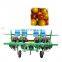 Hot sale vegetable seedling planting machine Tractor type strawberry transplanter machine onion planter
