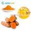 Sephcare Plant Extract Turmeric Curcumin Color Powder Nano Curcumin