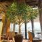 Large Artificial Olive Trees Artificial Decor Simulation Plant Fake Olive Trees for Landscape Project