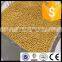 PPM Grade High Hardness Ceria Stabilized Zirconia CSZ Grinding Bead