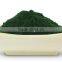 High Quality Spirulina powder Producers