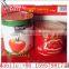 high quality double concentrate canned tomato paste/ketchup