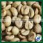 Bulk raw coffee beans, 100% Laos arabica coffee beans