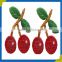 Fruit Design Embroidery Patches, Factory Direct Sales, Low MOQ, Competitive Price