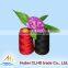 Closed Virgin fabrics Yarn manufacturer Polyester Filament Yarn 20s/4