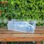 Clear Plastic Dust-Proof Shoe Box