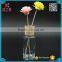 2016 100ml Diffuser Reed Bottle Wholesale Round Shape Glass Supplier's Choice