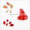 Organ toys sticky organ toys