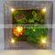 Brand-new design artificial succulent photo frame with led lights for sale