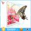 2.5D high quality privacy screen for samsung galaxy tab4 10.1 T530/T531 tempered glass screen protector