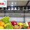 Fish storage freezer