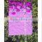 Decorative mirror pink