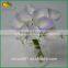 Artificial Mini Calla Lily Bulbs Bouquet Flower for Decoration Supplier's Choice