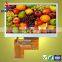 Graphic screen panel 4.3 TFT LCD module with 24-bit RGB interface