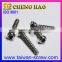Precision Parts Stainless Steel Screws Self Tapping thread screw