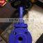 Bangladesh Cast Iron Globe Valve