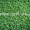 China good price IQF Frozen green peas