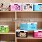 Cartoon Style Foldable Plastic Storage Box